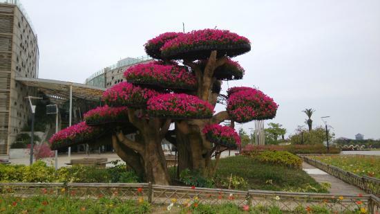 Xiamen Yuanbo Garden